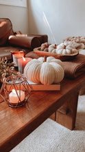 Load image into Gallery viewer, Marshmallow Pumpkin - Darling Anne