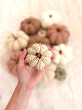Load image into Gallery viewer, Harvest Pumpkins