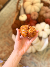 Load image into Gallery viewer, Mini Hand Dyed Pumpkins
