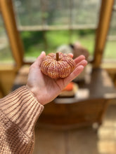 Load image into Gallery viewer, *Mini* Hand dyed Pink Pumpkin - Darling Anne