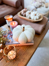 Load image into Gallery viewer, Marshmallow Pumpkin - Darling Anne
