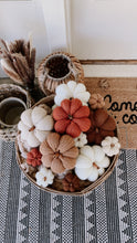 Load image into Gallery viewer, Harvest Pumpkins