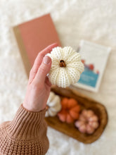 Load image into Gallery viewer, *Mini* Marshmallow Pumpkin - Darling Anne