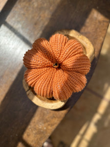 Orange Pumpkin - Darling Anne