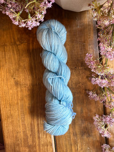 Hand dyed skein (DK)