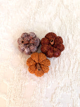 Load image into Gallery viewer, Mini Hand Dyed Pumpkins
