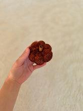 Load image into Gallery viewer, Mini Hand Dyed Pumpkins