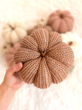 Load image into Gallery viewer, Harvest Pumpkins
