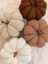 Load image into Gallery viewer, Harvest Pumpkins