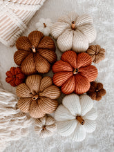 Load image into Gallery viewer, Harvest Pumpkins