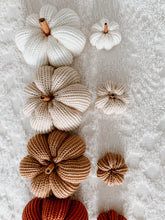 Load image into Gallery viewer, Harvest Pumpkins