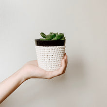 Load image into Gallery viewer, Succulent Pot Cover Crochet Pattern // Crochet Pattern - Darling Anne