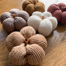 Load image into Gallery viewer, Knit Pumpkin // Toasty - Darling Anne