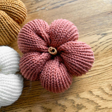 Load image into Gallery viewer, Knit Pumpkin // Cinnamon Spice - Darling Anne