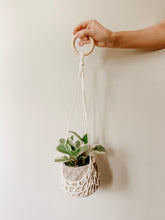 Load image into Gallery viewer, Medium Plant Hanger Crochet Pattern // Crochet Pattern - Darling Anne